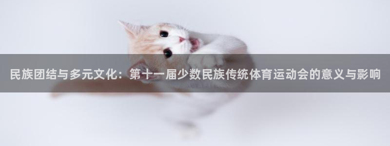 千亿国际官方正版app娱乐网站：民族团结与多元文化：
