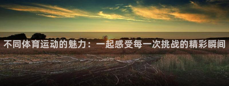 千亿国际官方正版app五金厂：不同体育运动的魅力：一