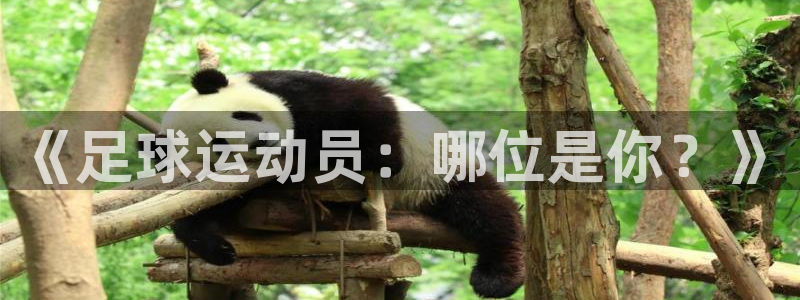 千亿国际官网下载软件：《足球运动员：哪位是你？》