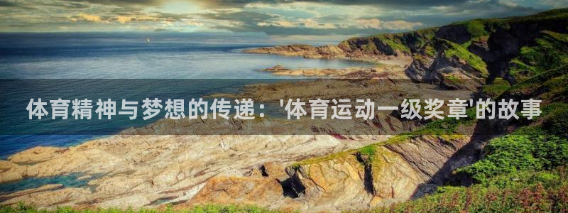 千亿国际官方正版app娱乐平台：体育精神与梦想的传递：\'体