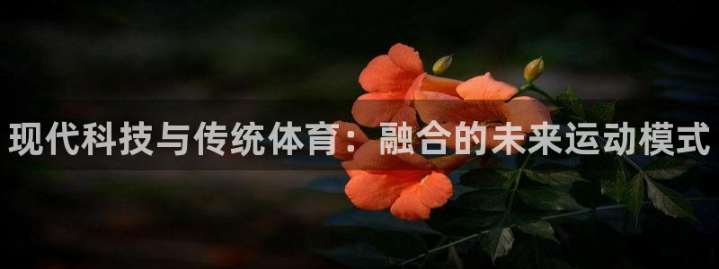 千亿国际官网下载招商电话号码查询是多少：现代科技与传统体育：