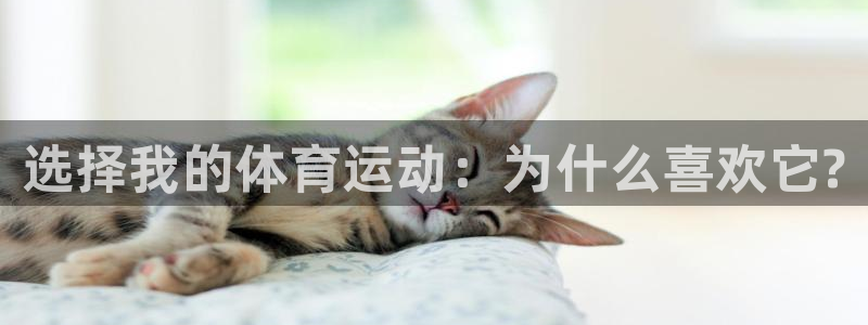 千亿国际官网下载招商电话地址查询：选择我的体育运动：为什么喜