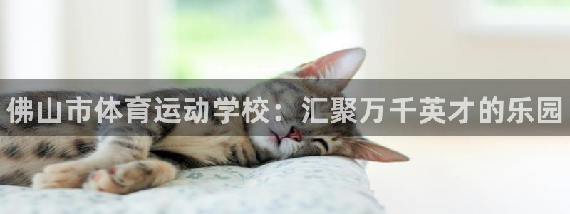 千亿国际官方正版app集团：佛山市体育运动学校：汇聚