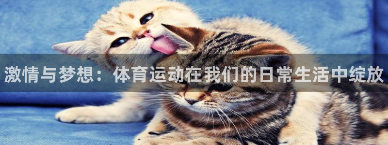 千亿国际官网下载招商电话：激情与梦想：体育运动在我们的日常生