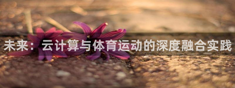 千亿国际官方正版app科技：未来：云计算与体育运动的深度融合