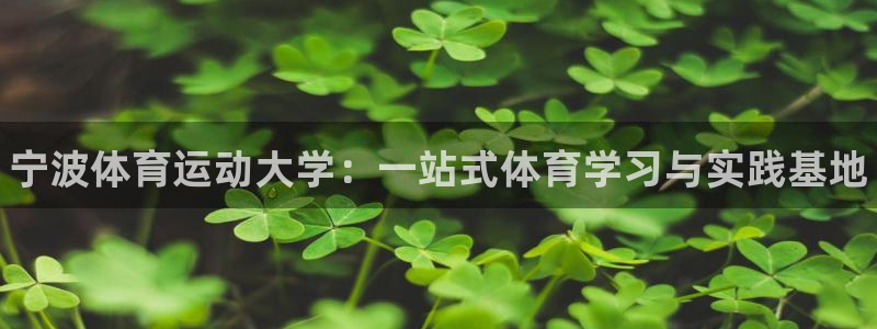 千亿国际官网下载平台假的吗是真的吗：宁波体育运动大学