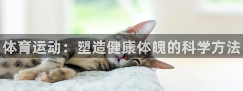 海南千亿国际官网下载：体育运动：塑造健康体魄的科学方