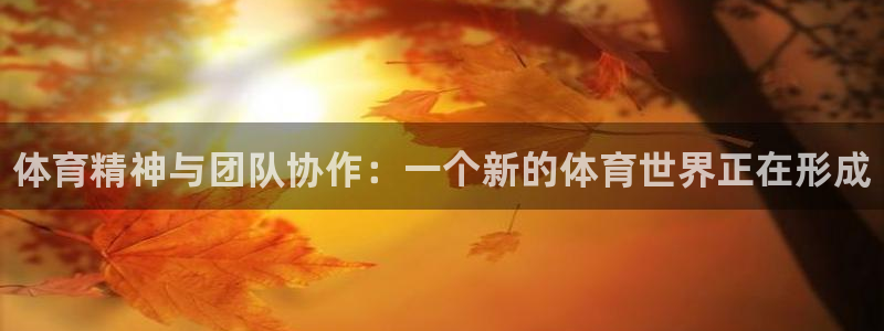 千亿国际官网下载官方客服电话：体育精神与团队协作：一个新的体