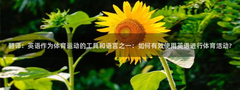 千亿国际官网下载平台注册流程图：翻译：英语作为体育运动的工具