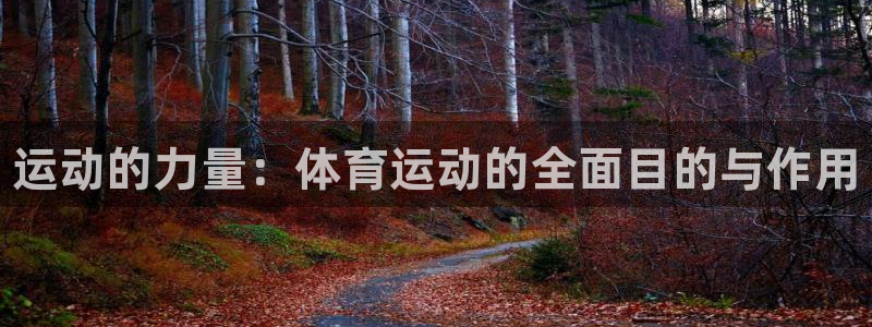 千亿国际官网下载招商电话地址查询：运动的力量：体育运动的全面