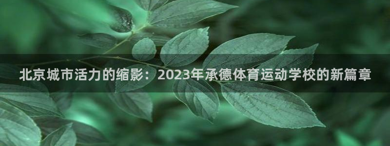 千亿国际官网下载招商：北京城市活力的缩影：2023年承德体育