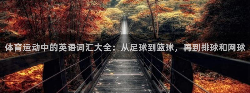 千亿国际官网下载官方客服电话：体育运动中的英语词汇大全：从足