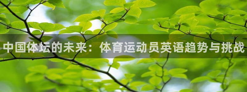 千亿国际官网下载招商电话地址查询