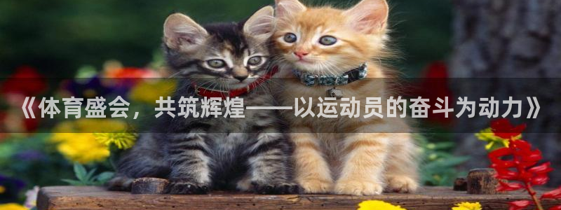 千亿国际官方正版app娱乐网站：《体育盛会，共筑辉煌