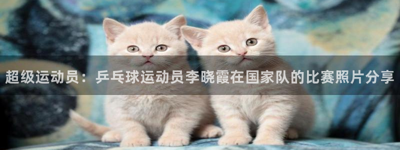 千亿国际官方正版app娱乐下载：超级运动员：乒乓球运