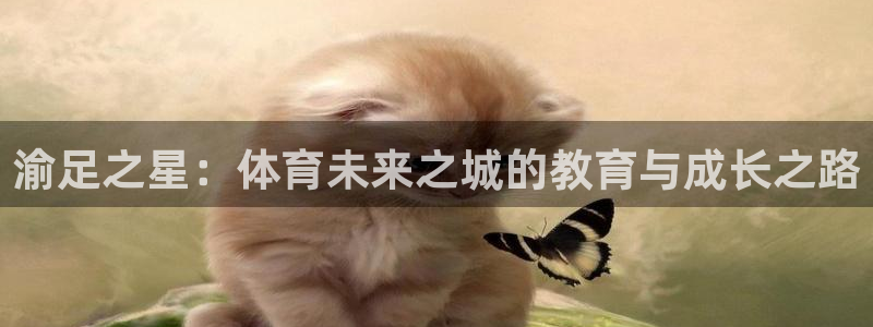 千亿国际官方正版app科技：渝足之星：体育未来之城的