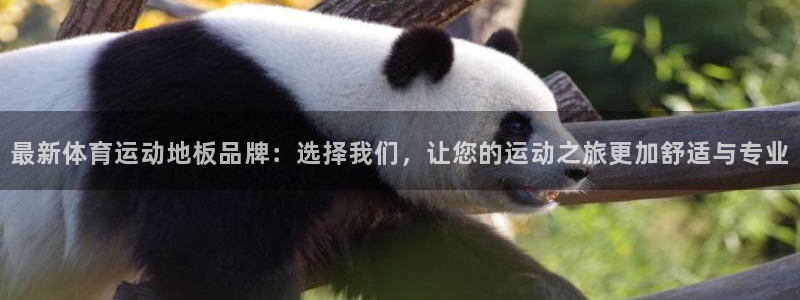 千亿国际官方正版app集团：最新体育运动地板品牌：选择我们，