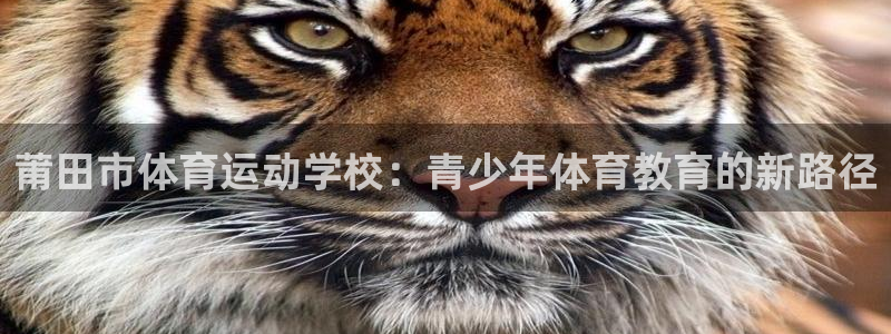 千亿国际官方正版app娱乐下载