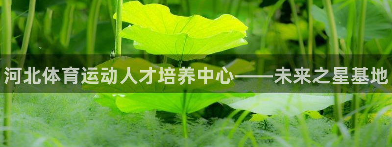 千亿国际官方正版app娱乐首页官网下载：河北体育运动人才培养