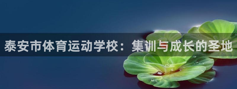 千亿国际官网下载平台是正规平台吗：泰安市体育运动学校