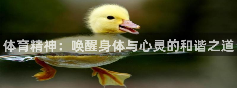 千亿国际官方平台体育