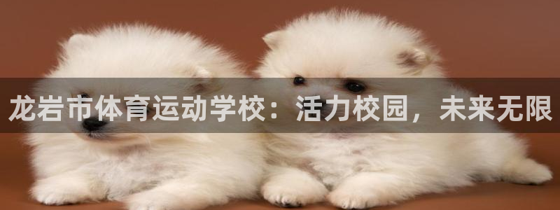 千亿国际官方正版app科技:龙岩市体育运动学校:活力校园,未