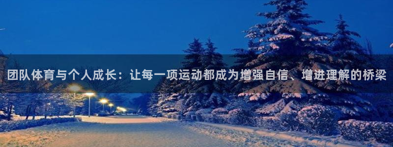千亿国际官方正版app代理:团队体育与个人成长:让每一项运动