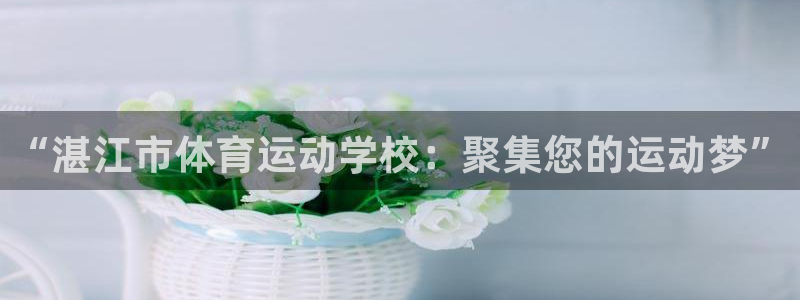 千亿国际官方正版app娱乐首页官网下载:“湛江市体育运动学校